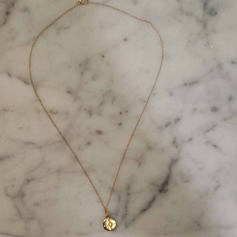 Compass Necklace from Box of Style